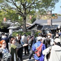 酒蔵の見学者や日本酒の購入者でにぎわう祭り会場＝２３日、神崎町の寺田本家