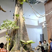熱帯雨林への理解深めて　動物科学館改修、２９日オープン　千葉市動物公園　大人も楽しめる「エコツアー」