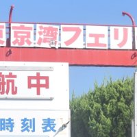 【速報】千葉県内の交通に乱れ　東京湾フェリー運航を取りやめ、県内道路で速度規制も