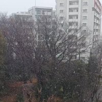【速報】柏で降雪　千葉県内冷え込み　北西部で雪やみぞれ続く可能性も【動画あり】