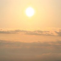 写真はイメージ