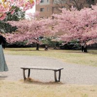暖かさが包むお昼時の公園で過ごす親子連れら＝１３日午後、千葉市中央区