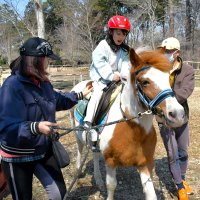 乗馬で触れ合い魅力満喫　根付く文化観光資源に　末廣別邸公園で体験会　富里