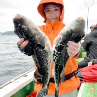 富浦トラフグ好釣　中ノ瀬、木更津シロギス狙える　【今週の釣果】