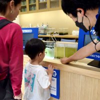 アサリが水を浄化する様子を説明する水槽＝ふなばし三番瀬環境学習館