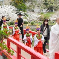 桜の下で稚児行列　男女１０人華やかに　茂原・藻原寺
