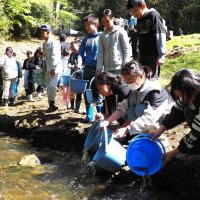 アユ大きく育ってね！　富津の小学生、湊川に稚魚放流　