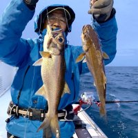 洲崎南、江見クロムツ良型多く　保田、大原イサキ狙える　【今週の釣果】