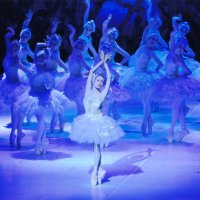 いすみ市制２０周年記念　世界的バレリーナ森下さんら「新白鳥の湖」６月公演　
