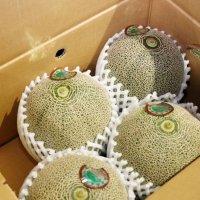 初出荷を迎えた特産メロン。１玉ずつ貼られた飯岡メロンロゴマークのシールには生産者名も記されていた