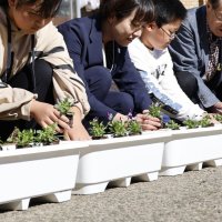長嶋さんの思い咲いた　全国の学校に花届ける活動　芝山の財団で初代理事長