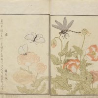 喜多川歌麿「画本虫撰」天明８年（１７８８）　千葉市美術館蔵
