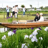 水路を巡る道中で、来園者に手を振り返す新郎新婦＝１５日、香取市の水郷佐原あやめパーク
