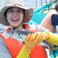 保田沖で釣り上げた大型のアジ（写真は「村井丸」提供）