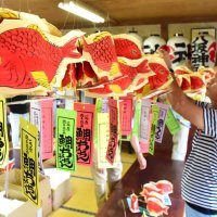 鮮やかな赤社殿にずらり　鯛ちょうちん製作佳境　７月夏祭り、４００個配布　茂原・八坂神社