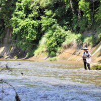 【動画あり】養老川アユ釣り解禁　早朝から太公望続々　市原・大多喜