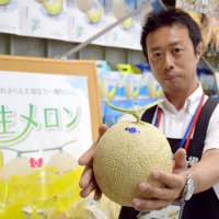 大きく甘い長生（ながいき）メロン　最盛期迎え７万玉出荷　一宮・白子