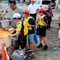 「大きく育ってね」　勝浦の港で小学生ら　マダイ稚魚５００匹放流