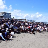 はまぐり祭り盛況　海水浴場オープン　一宮
