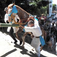 「神馬」石段を一気に　大漁、豊作を祈願　君津・人見神社