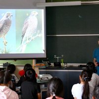 絶滅危惧種の渡り鳥　豊かな自然「サシバ」飛来　児童、生態や環境整備学ぶ　神崎