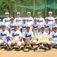 佐倉サヨナラＶ　野球　千葉日報杯新人大会