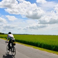 夏空の下、サイクリングを楽しむ人＝１８日、香取市