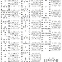 ２０の切符懸け激突　あす３０日から敗者復活戦　秋季千葉県高校野球大会予選