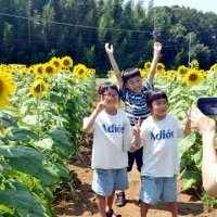 見頃を迎えたヒマワリ畑で写真撮影をする親子