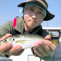 木更津、保田アジ好釣続く 　盤洲、木更津シロギス狙える　【今週の釣果】