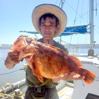 飯岡沖で釣り上げたカンコ（写真は「清勝丸」提供）
