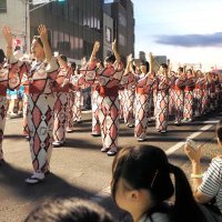 おっさ、おっさ　夏彩る踊りの輪　「やっさいもっさい踊り大会」にぎわう　木更津