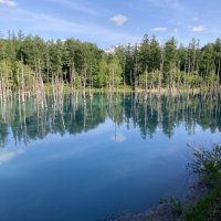 コバルトブルーの世界　北海道・富良野への旅（４）　【鳥光宏の旅と文学】（１５）