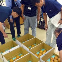 豊水の外観などをチェックする審査員ら＝２９日、船橋市農業センター