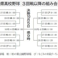 ８強懸け２７日激突　第７８回秋季千葉県高校野球