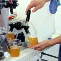 オープニングセレモニーでは生ビールも振る舞われた＝７月、大網白里市