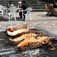伊勢エビＢＢＱ最高！！　お得な量り売り人気　御宿「食の祭典」本格スタート