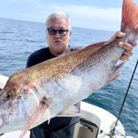 飯岡沖で釣り上げたマダイ（写真は「梅花丸」提供）