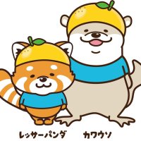 私たちに名前付けて‼　カワウソとレッサーパンダ１０月７日まで募集　市川市の人気キャラ化へ期待