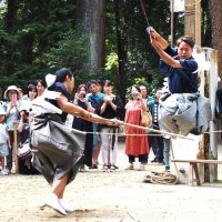 真剣や六尺棒などを使って次々と披露された伝統の棒術＝２８日、君津市
