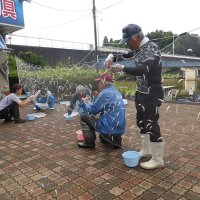 成育調査の網には豊漁を予感させるように銀色のワカサギがびっしりかかった＝９月３０日、市原市