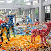 千葉国際芸術祭が本格始動　県都６エリア　市民参加型目指し初開催　県ゆかり作家や海外から出展