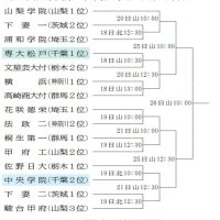 秋季関東地区高校野球　組み合わせ表