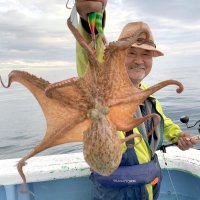 鹿島沖で釣り上げたマダコ（写真は「幸栄丸」提供）
