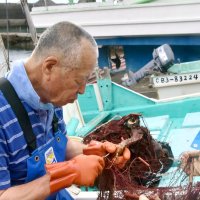 １００年超続く綿糸網漁　環境に優しく資源管理も　農林水産祭で総理大臣賞　鴨川市漁協太海エビ網組合