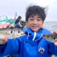 木更津沖で釣り上げたアジ（写真は「守山丸」提供）