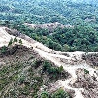 鴨川メガソーラー　千葉県、工事一時停止を要請　盛土の計画変更、業者への「指導」に合わせ