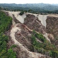 ドローンで空撮したメガソーラーの工事現場＝１９日、鴨川市（鴨川の山と川と海を守る会提供）
