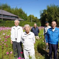 色とりどりに咲くコスモスと笑顔を見せる住民ら＝勝浦市