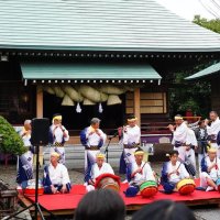 大しめ縄堂々お目見え　いすみ・出雲大社　本宮ならい、奉納祝う